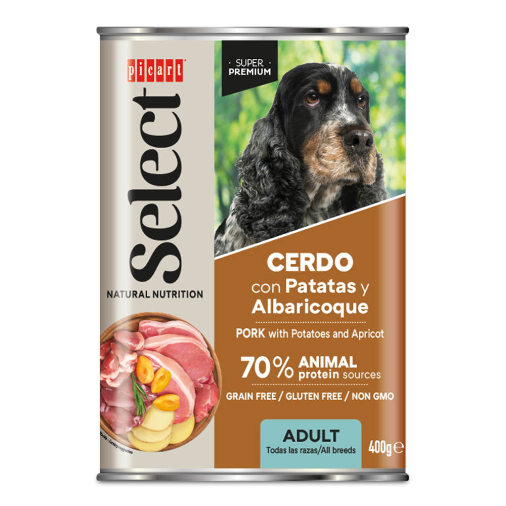 CERDO-01