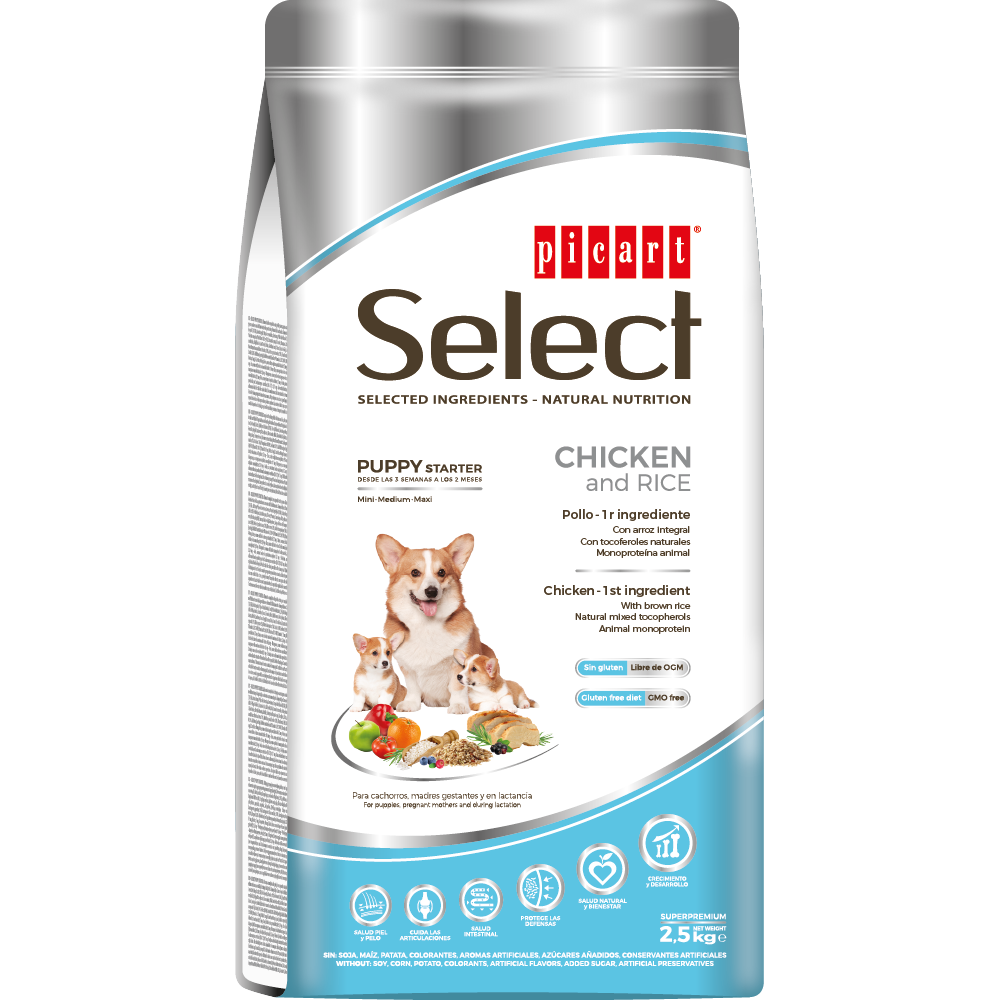 Ficticis-STARTER-WEB-07