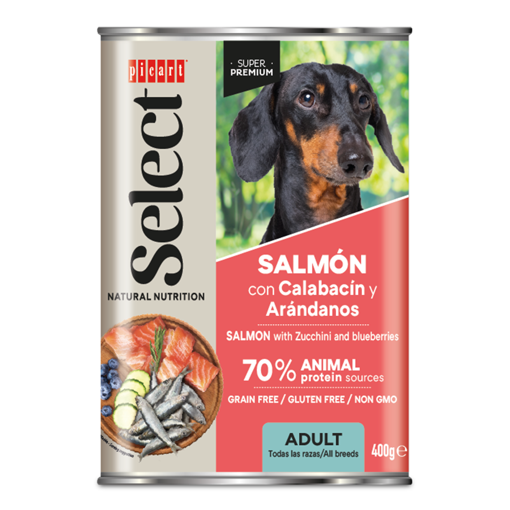 SALMON-01